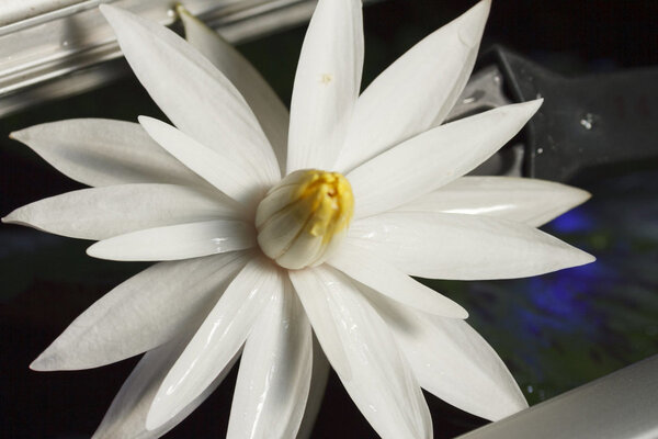 IMG_0944 bewerkt 165.jpg