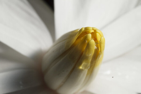 IMG_0945 bewerkt 166.jpg