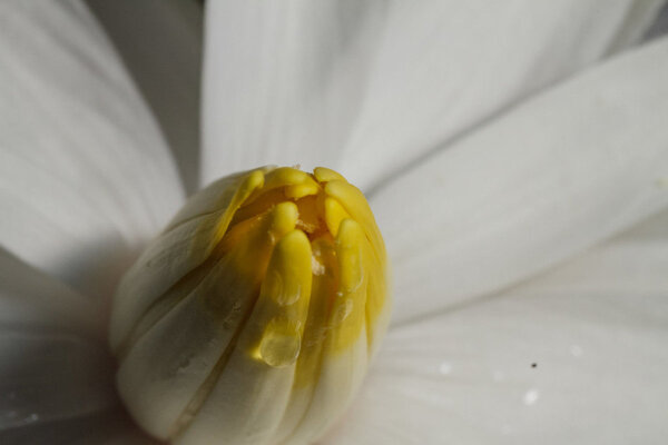 IMG_0946 bewerkt 167.jpg