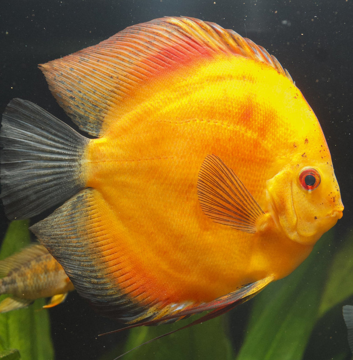 IMG_1115 bewerkt 208.jpg