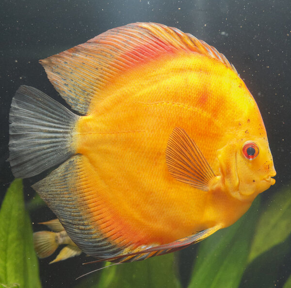 IMG_1116 bewerkt 209.jpg