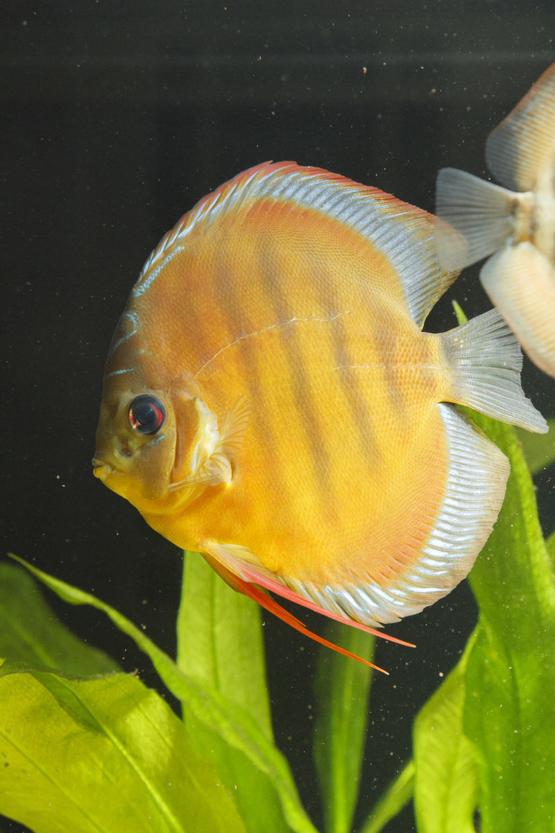 IMG_1127 bewerkt 211.jpg