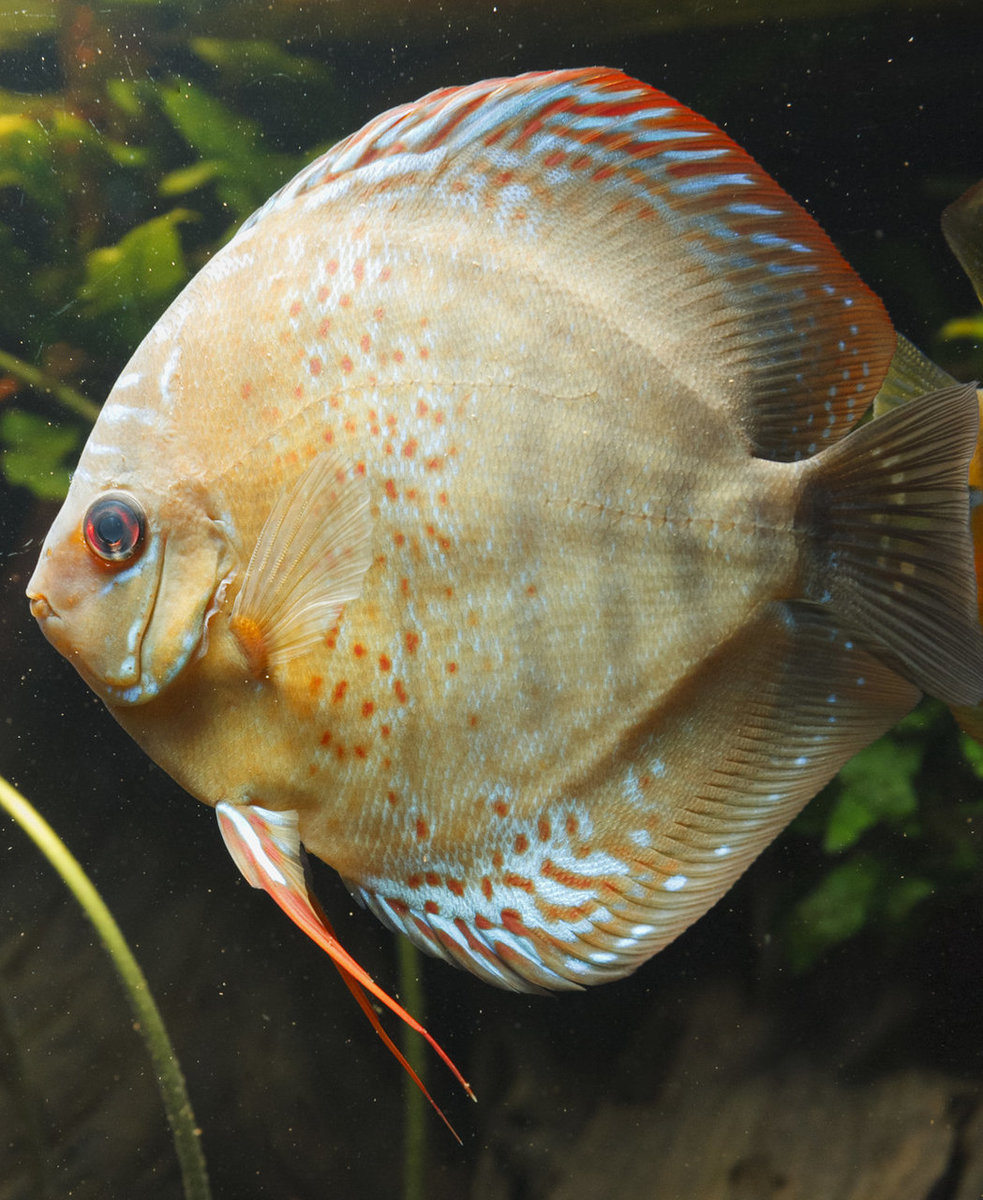 IMG_1142 bewerkt 215.jpg