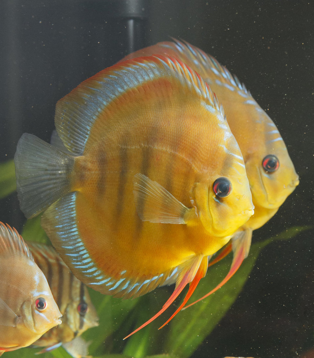 IMG_1170 bewerkt 219.jpg