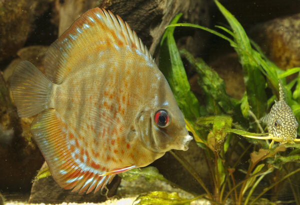 IMG_1186 bewerkt 222.jpg