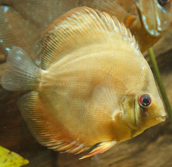 IMG_1187 bewerkt 223.jpg