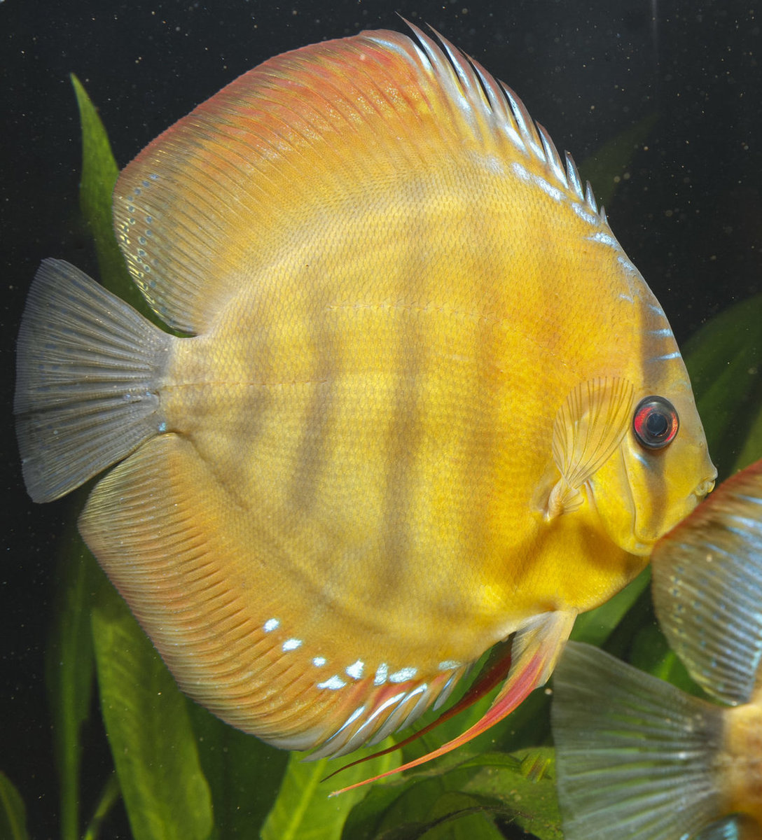 IMG_1206 bewerkt 231.jpg