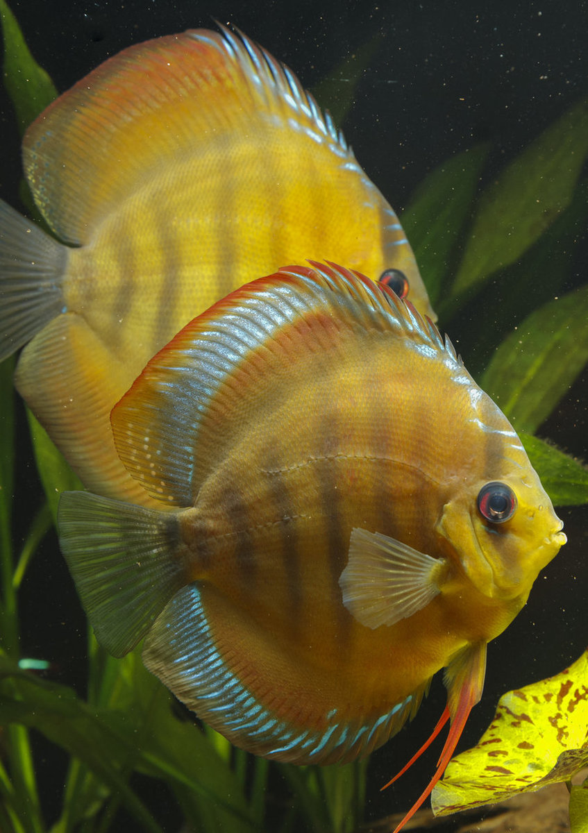 IMG_1214 bewerkt 232.jpg