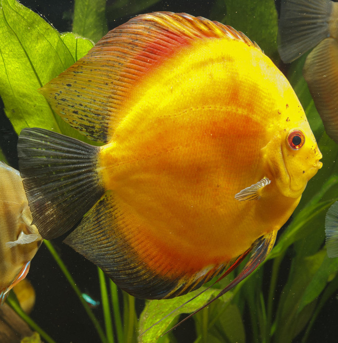 IMG_1221 bewerkt 235.jpg