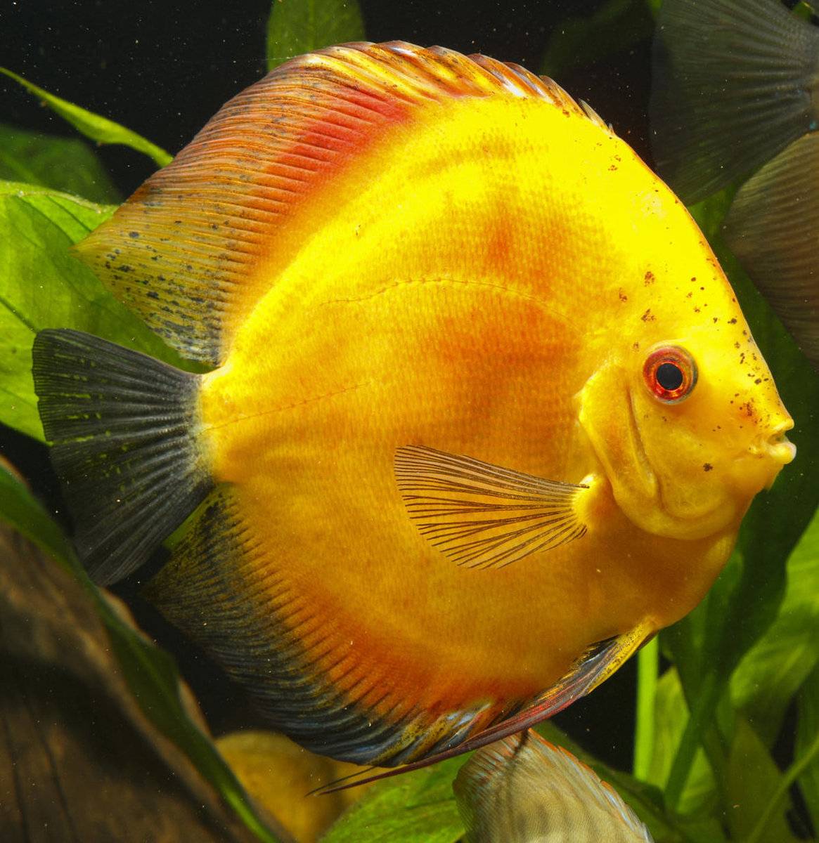 IMG_1223 bewerkt 236.jpg