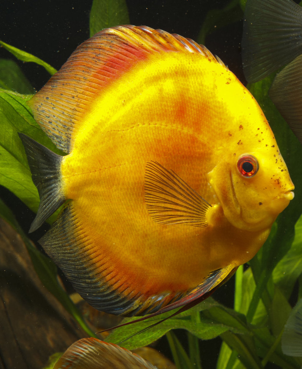 IMG_1224 bewerkt 237.jpg