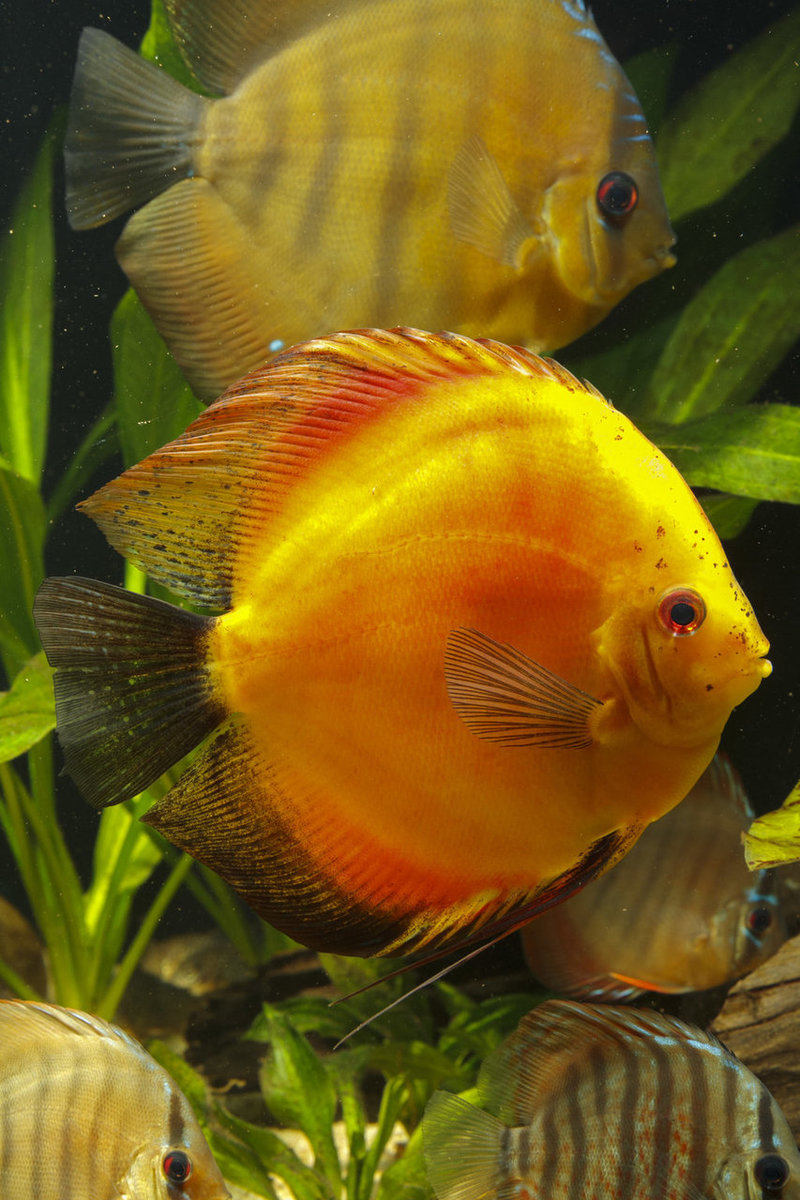 IMG_1228 bewerkt 240.jpg