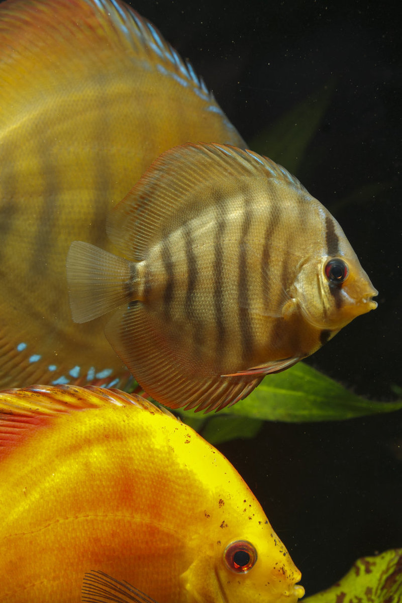 IMG_1232 bewerkt 242.jpg