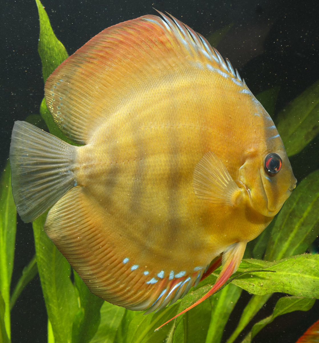 IMG_1234 bewerkt 243.jpg