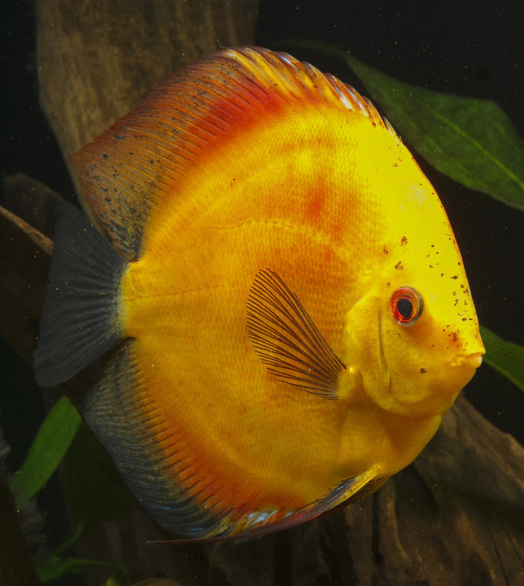 IMG_1241 bewerkt 244.jpg