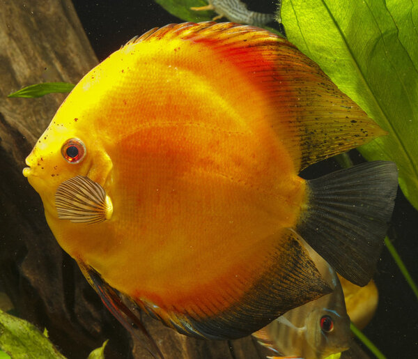 IMG_1251 bewerkt 247.jpg