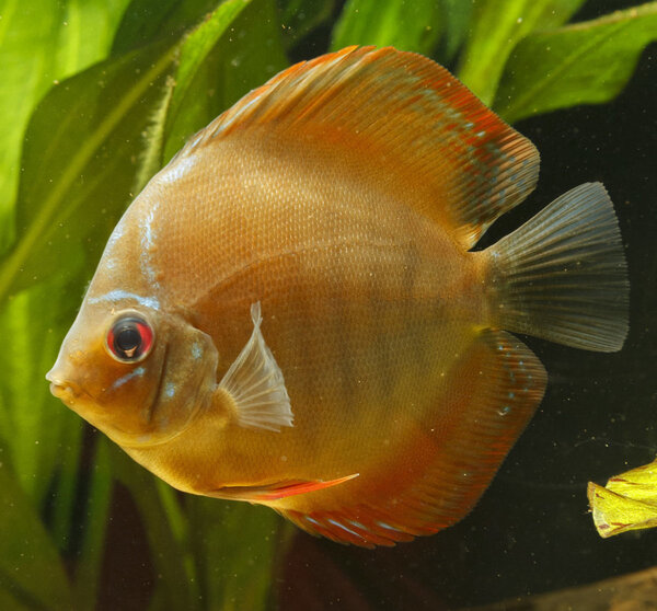 IMG_1257 bewerkt 248.jpg