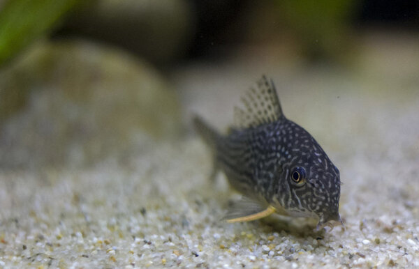 IMG_1273 bewerkt 251.jpg