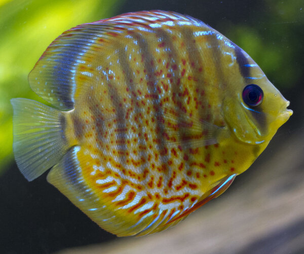 IMG_1274 bewerkt 252.jpg