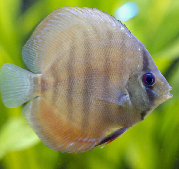 IMG_1283 bewerkt 255.jpg