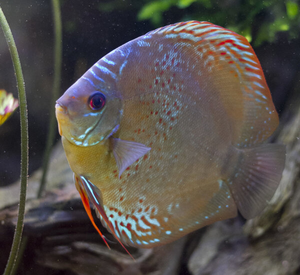 IMG_1293 bewerkt 259.jpg