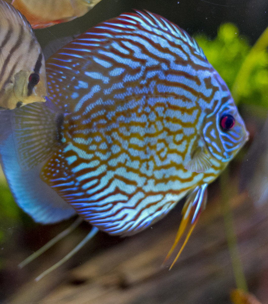 IMG_1308 bewerkt 263.jpg