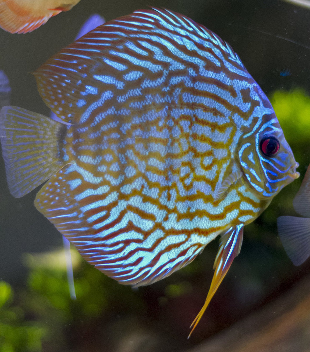 IMG_1310 bewerkt 264.jpg