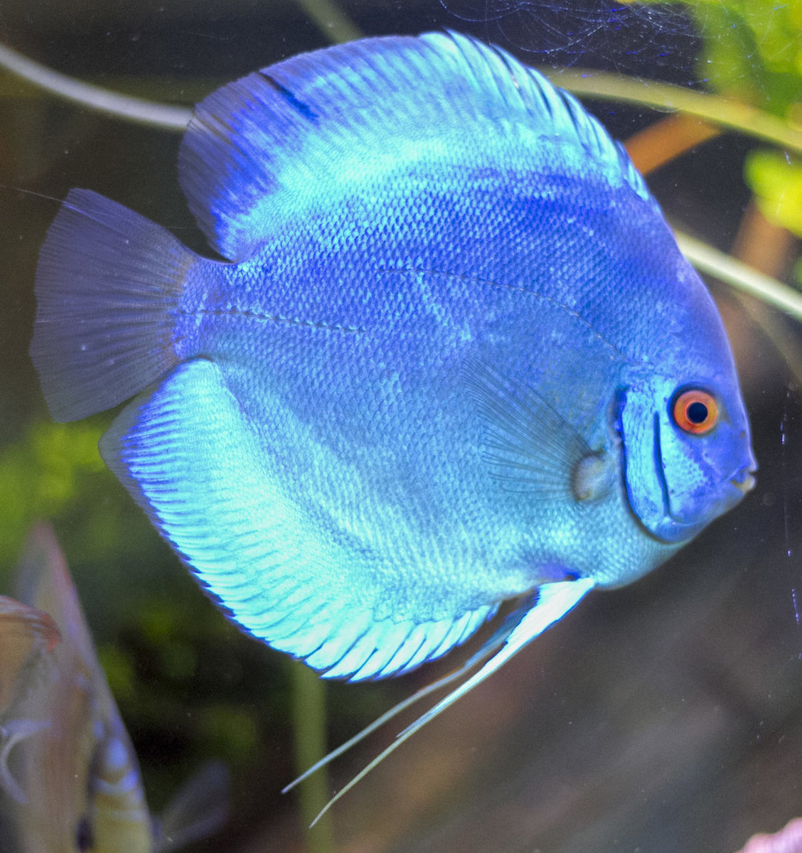 IMG_1314 bewerkt 265.jpg