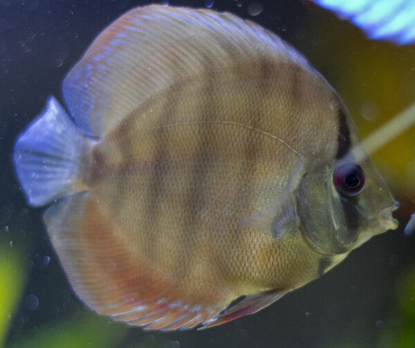 IMG_1319 bewerkt 266.jpg