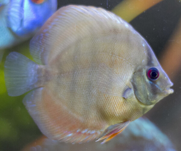 IMG_1320 bewerkt 267.jpg