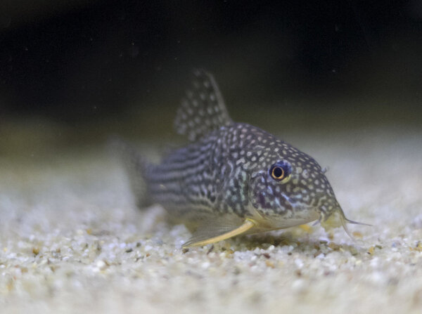 IMG_1326 bewerkt 268.jpg