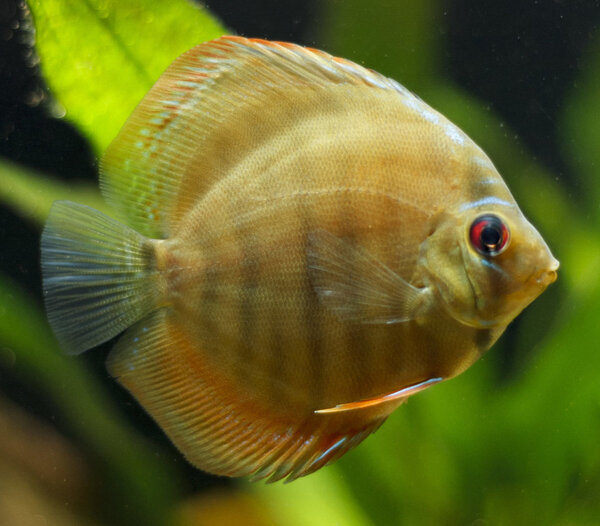 IMG_1642 bewerkt 001.jpg