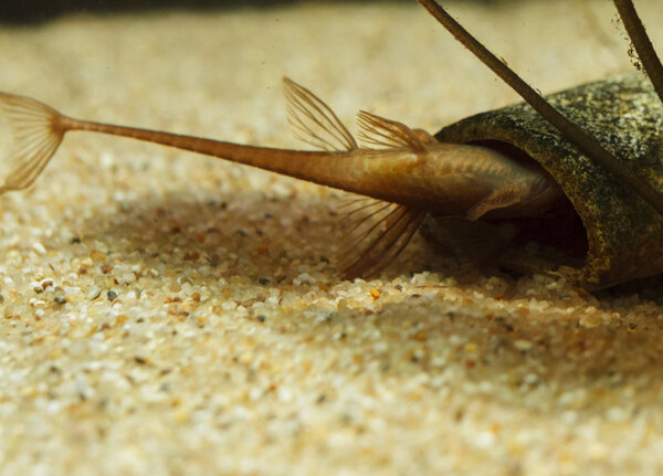 IMG_1685 bewerkt 004.jpg