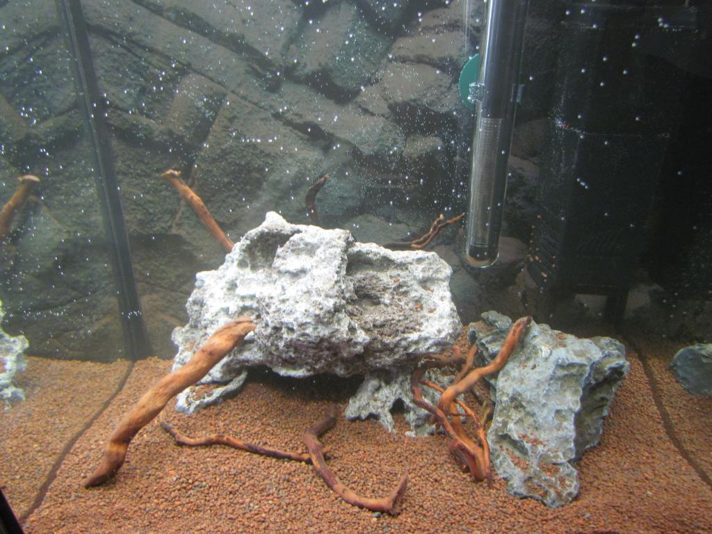 IMG_1781_zps2edf4a46.jpg