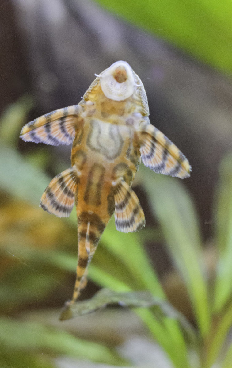 IMG_1842 bewerkt 007.jpg