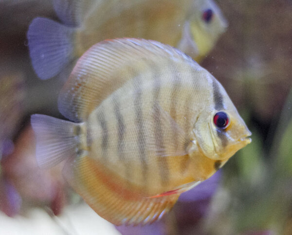 IMG_1847 bewerkt 009.jpg