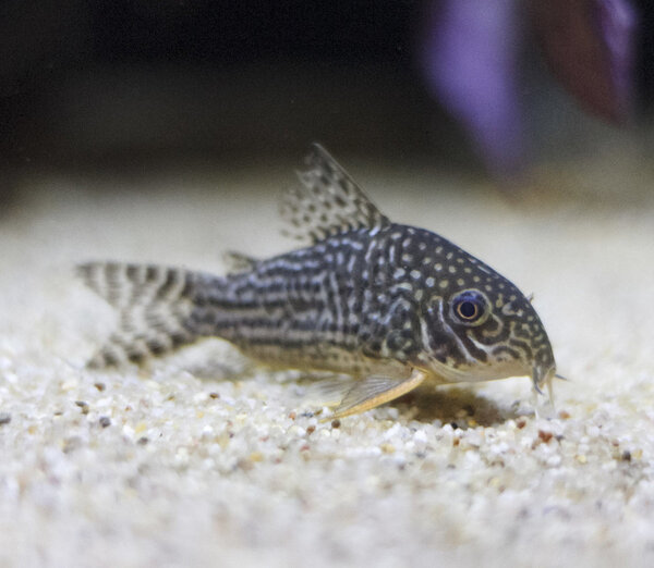 IMG_1850 bewerkt 010.jpg