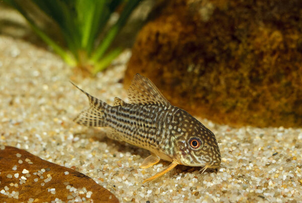 IMG_1913 bewerkt 012.jpg