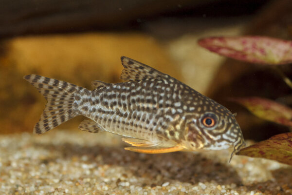 IMG_1920 bewerkt 013.jpg