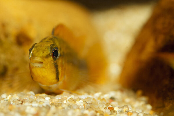 IMG_1931 bewerkt 017.jpg