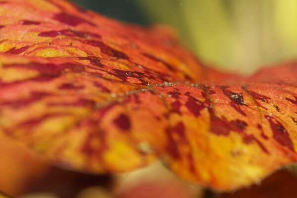 IMG_1934 bewerkt 019.jpg