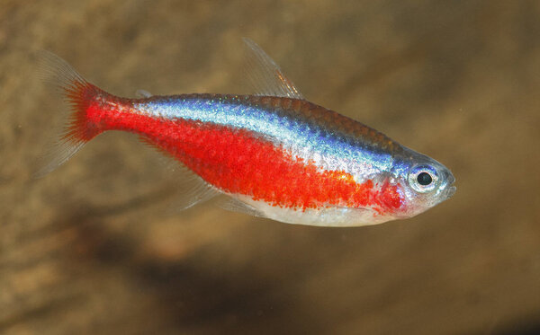 IMG_1935 bewerkt 020.jpg