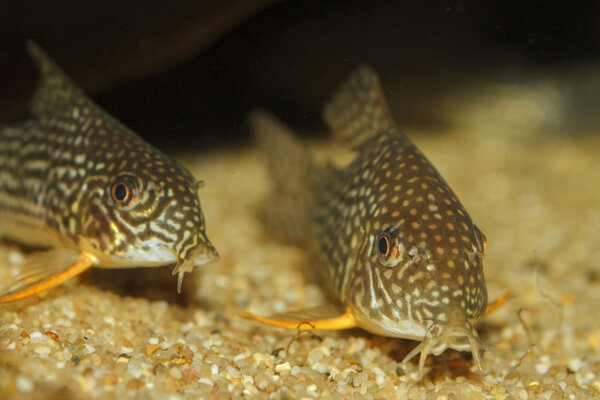 IMG_1952 bewerkt 022.jpg