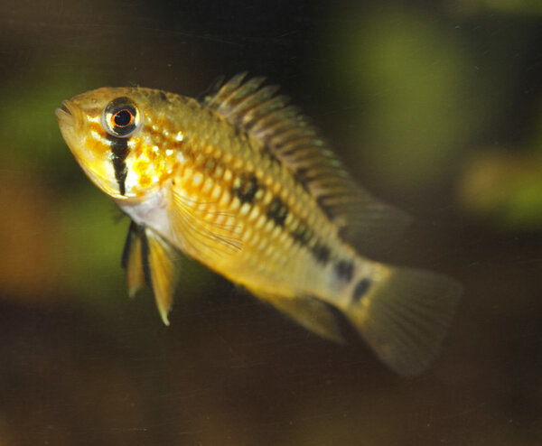 IMG_1965 bewerkt 023.jpg