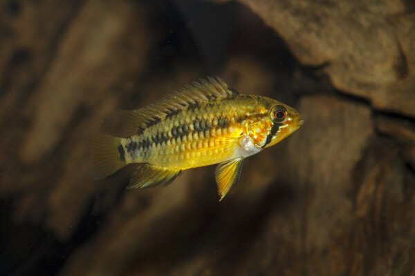 IMG_1978 bewerkt 025.jpg