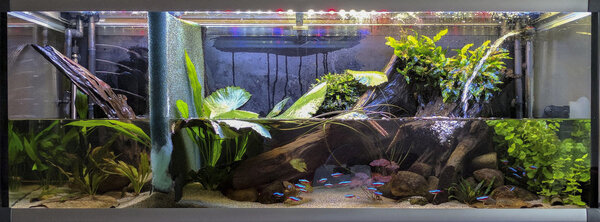 IMG_20171208_143219 bewerkt 072.jpg