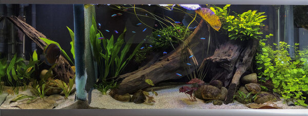 IMG_20171208_151137 bewerkt 073.jpg