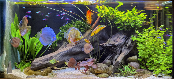 IMG_20171223_175739 bewerkt 109.jpg