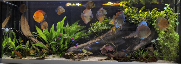 IMG_20180208_150831 bewerkt 049.jpg