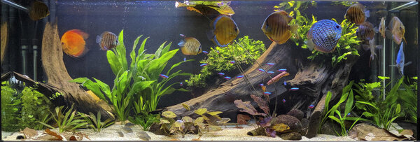 IMG_20180215_135329 bewerkt 050.jpg